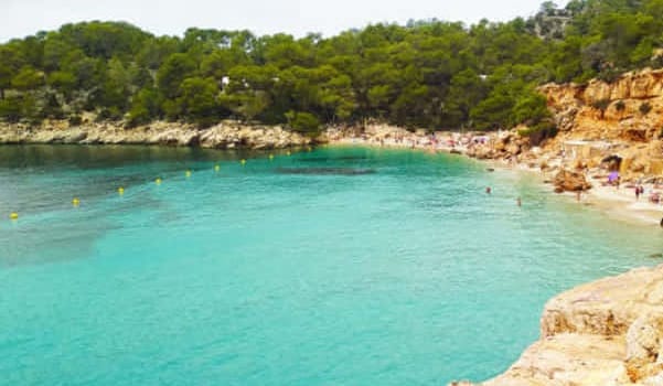 Discover Everything About Cala St. Vicente in Ibiza