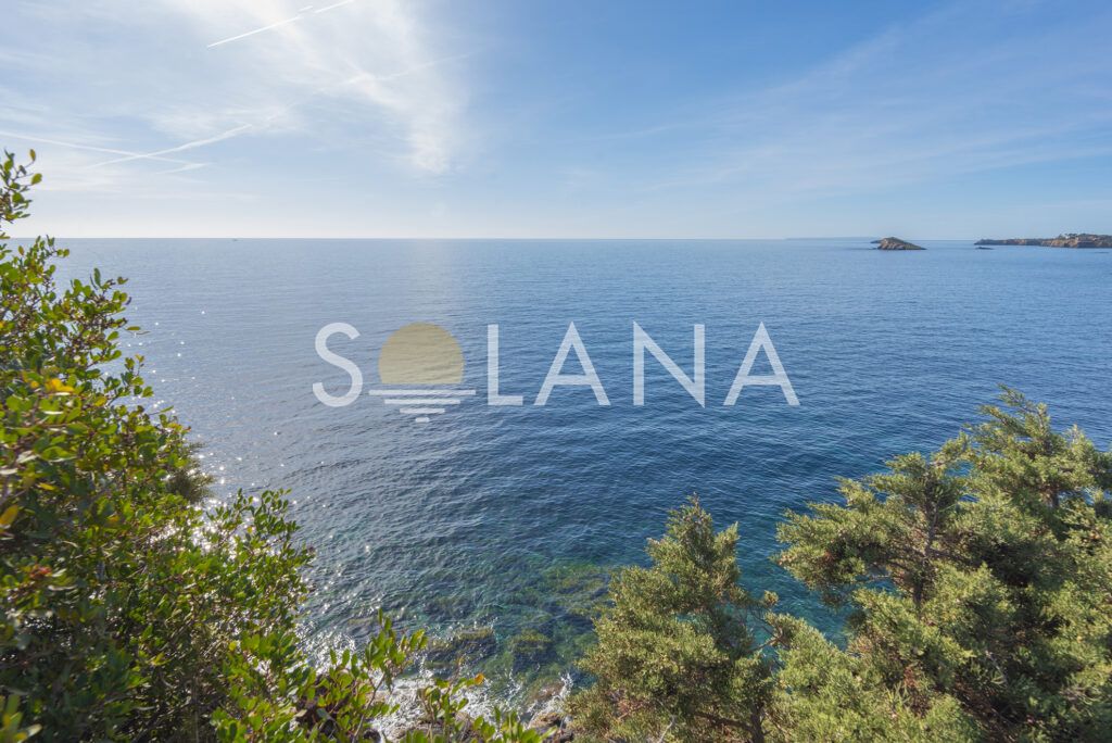 High_Resolution-17 copia