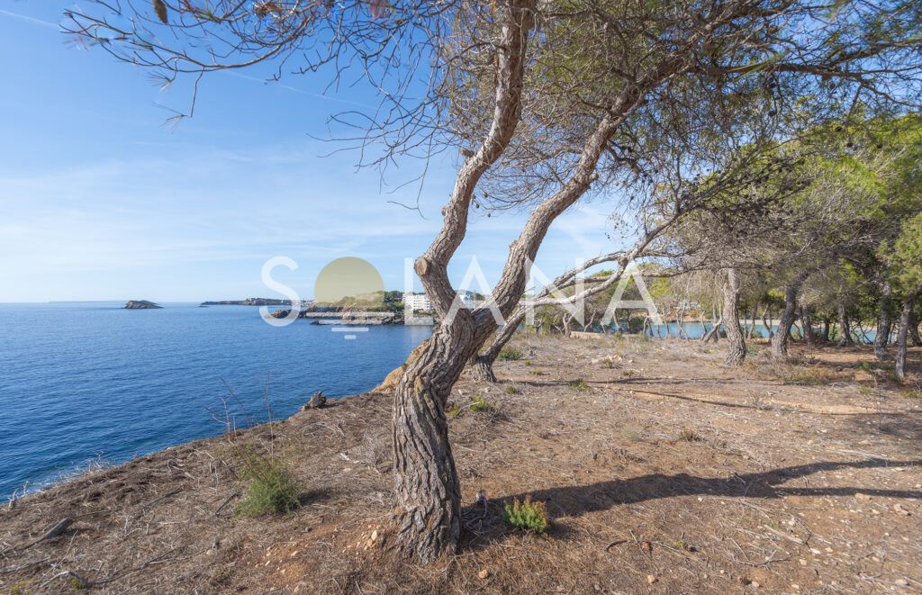 High_Resolution-21 copia