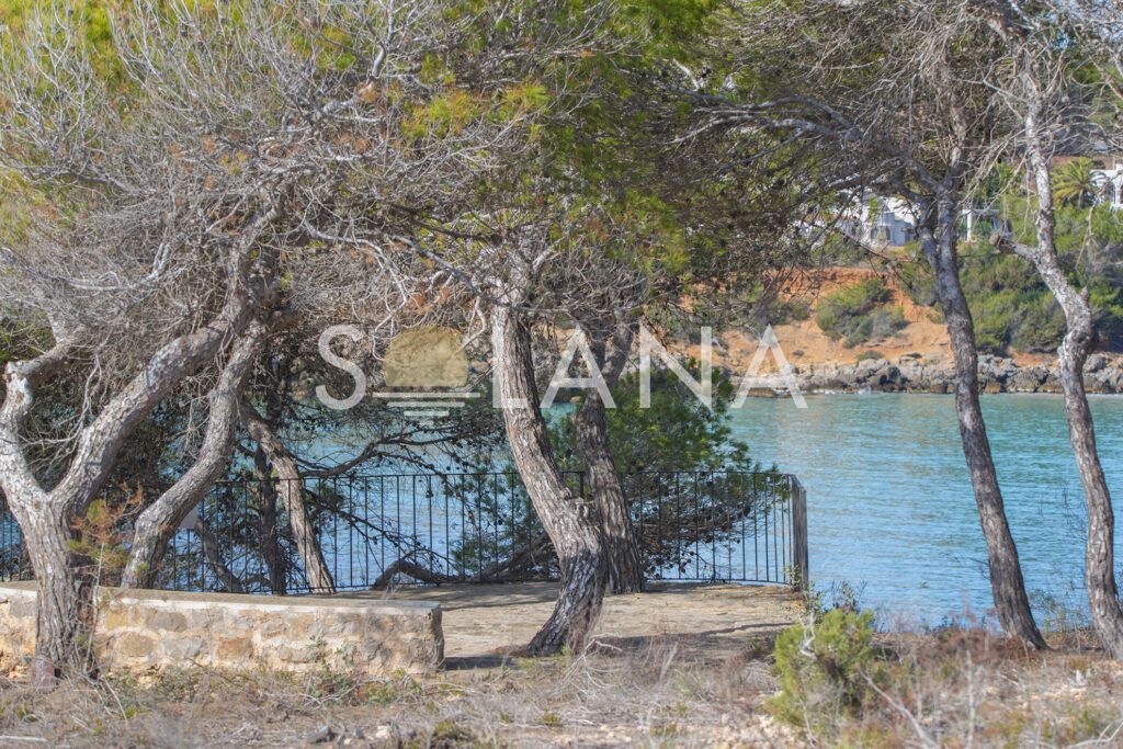 High_Resolution-5 copia