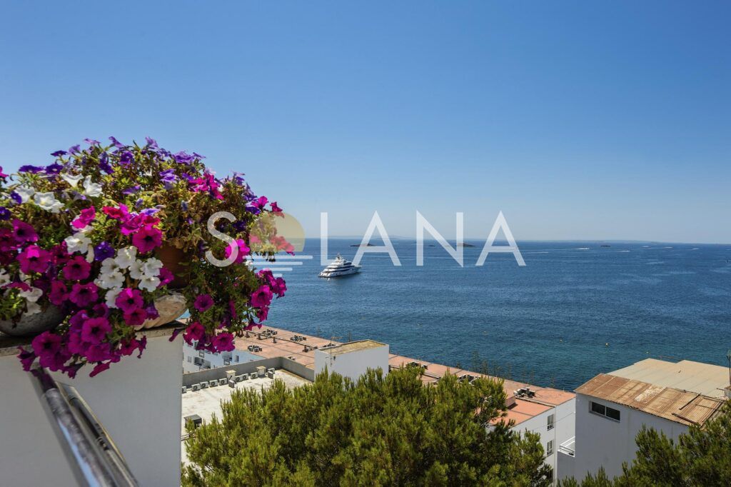 Bougainvillea flowers framing a sea view in Ibiza