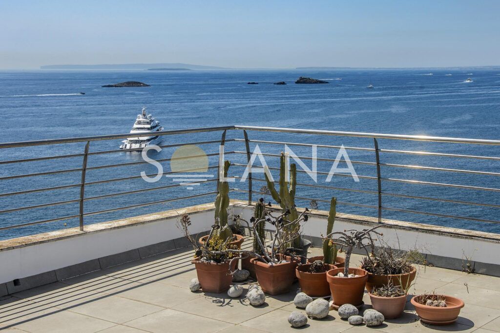 Rooftop terrace plants overlooking the Ibiza coastline