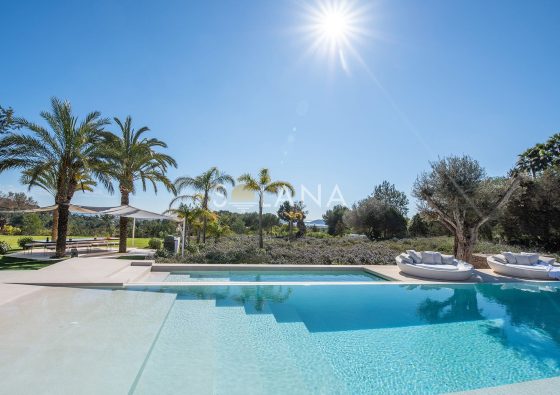 2024 selection - 10 of 117